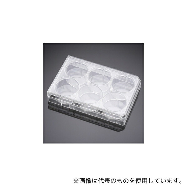 Corning(Falcon) 353502 セルカルチャーインサートコンパニオンプレート 6ウェル フタ付き 1ケース(1個×50パック入)