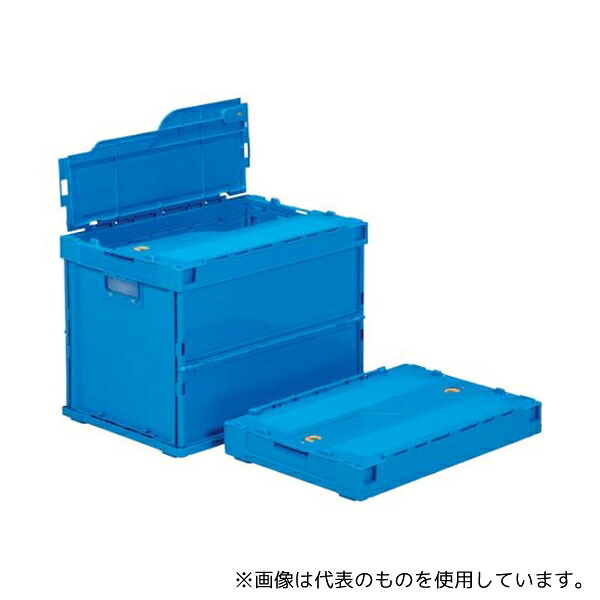 緑であること活動の領域