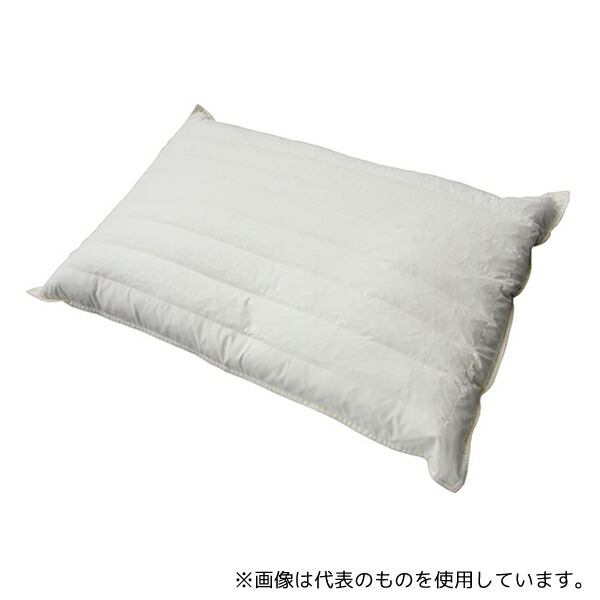 緑であること活動の領域