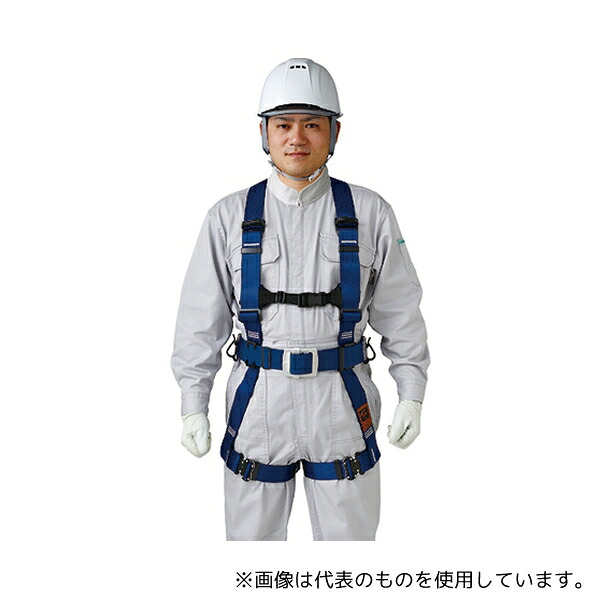 緑であること活動の領域