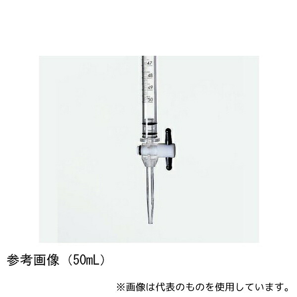 緑であること活動の領域