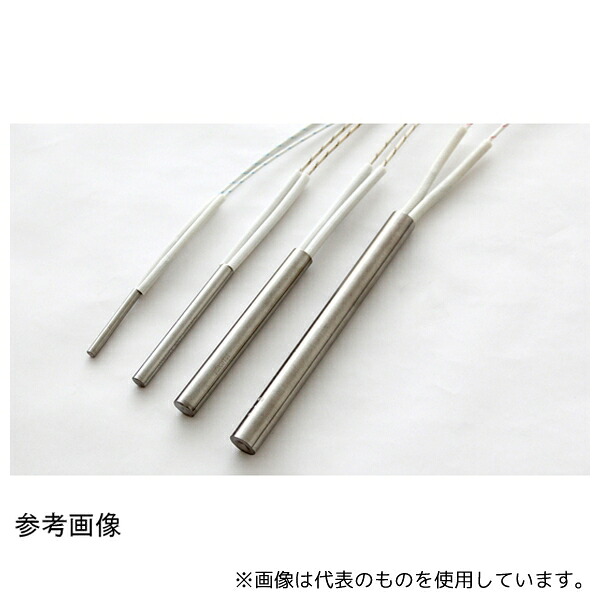 坂口電熱 6121020 カートリッジヒーター「HI-SDロッド」 110V 200W φ6×120L