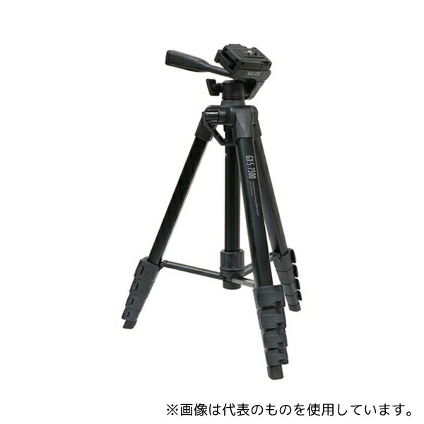 緑であること活動の領域