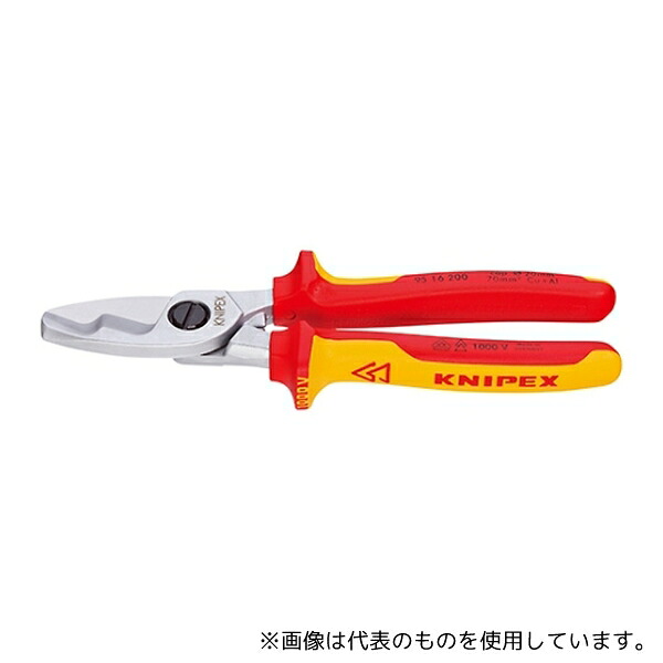 緑であること活動の領域