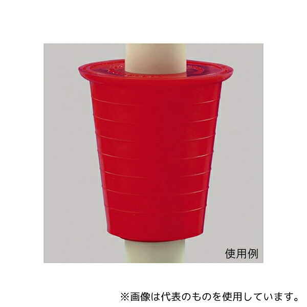 緑であること活動の領域