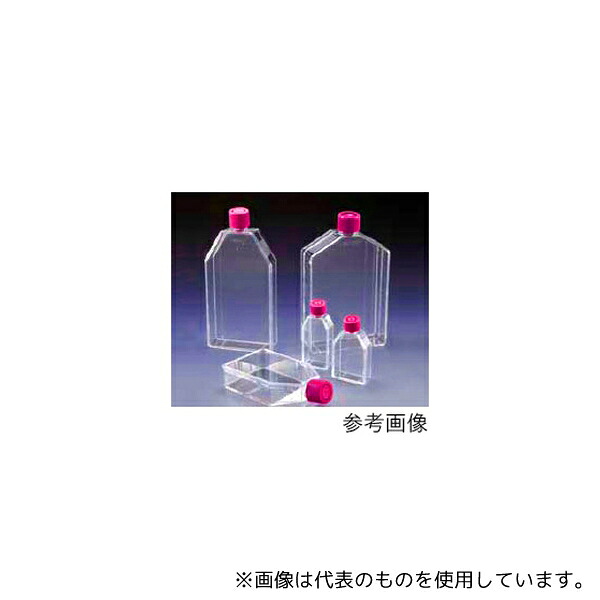 緑であること活動の領域