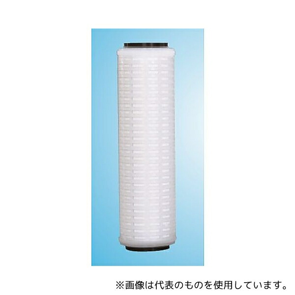 オルガノ 2BS-1TE ミクロポアーBSシリーズ 0.2μm(abs) L756mm