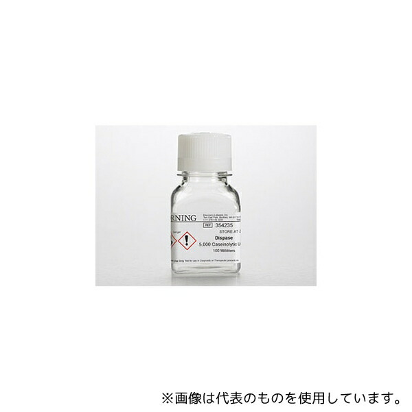 緑であること活動の領域