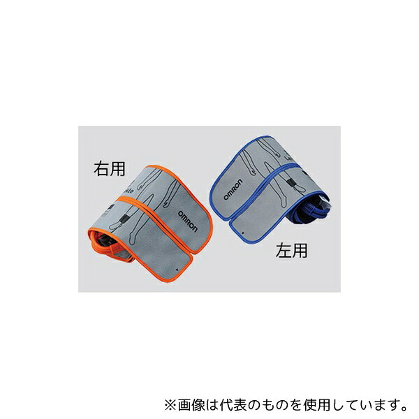 緑であること活動の領域