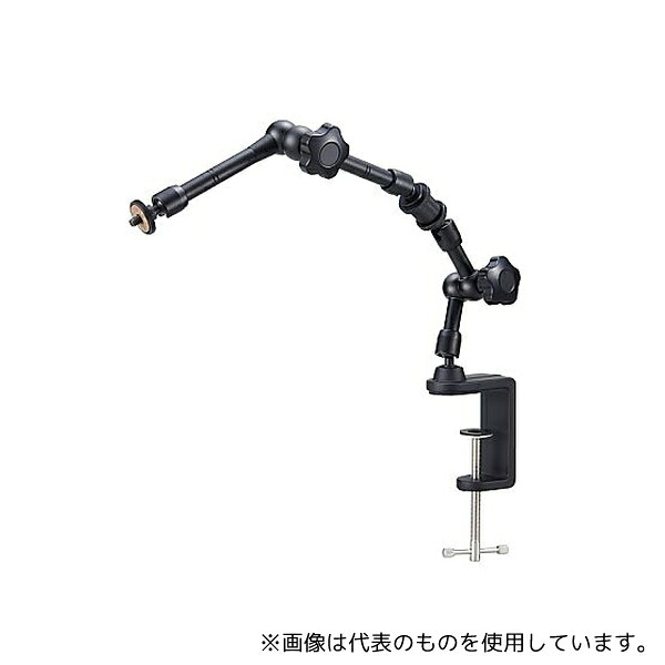 緑であること活動の領域 花・ガーデン・DIY-その他