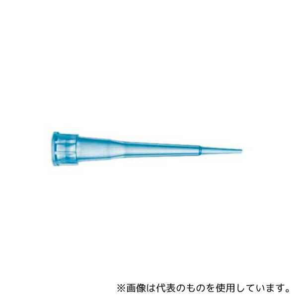 緑であること活動の領域