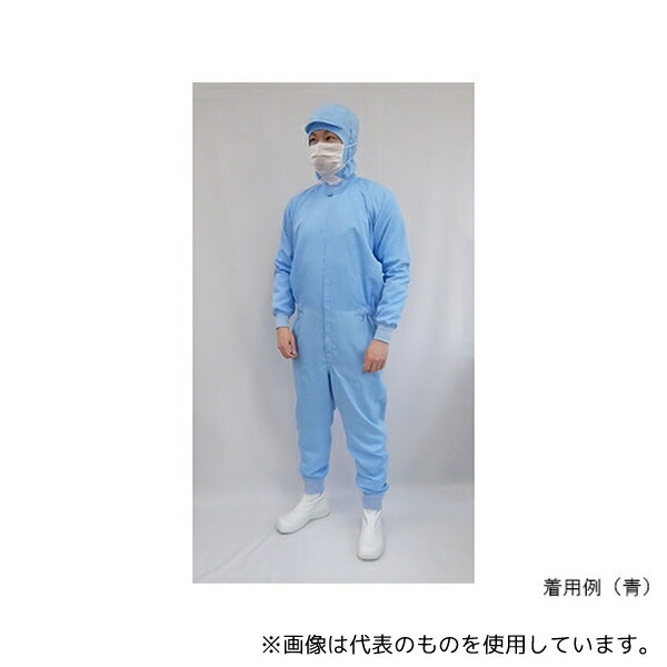 緑であること活動の領域