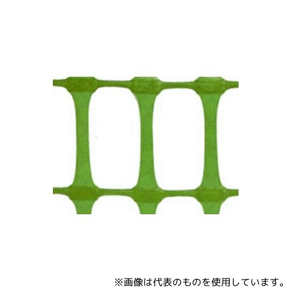 緑であること活動の領域