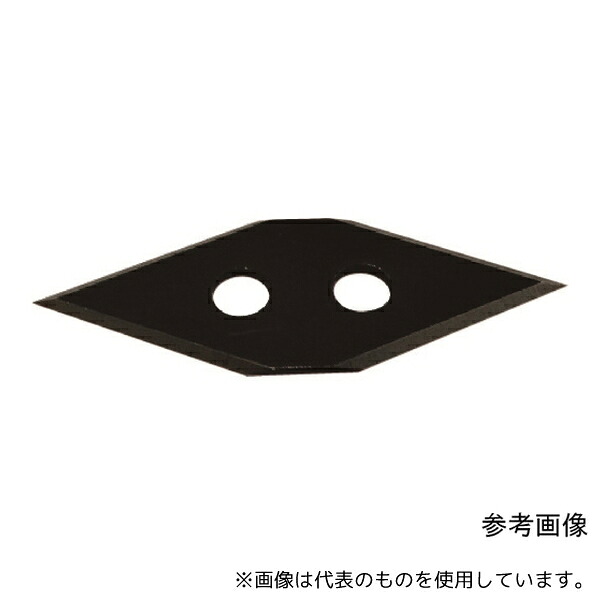 緑であること活動の領域