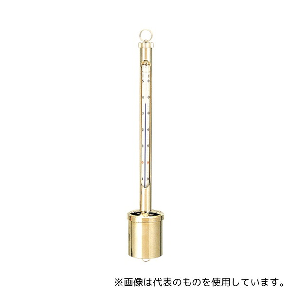 トーエイライト B2231 水温計
