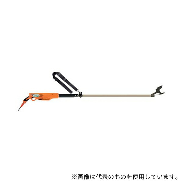 緑であること活動の領域