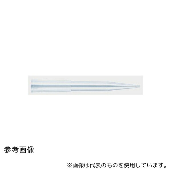 緑であること活動の領域