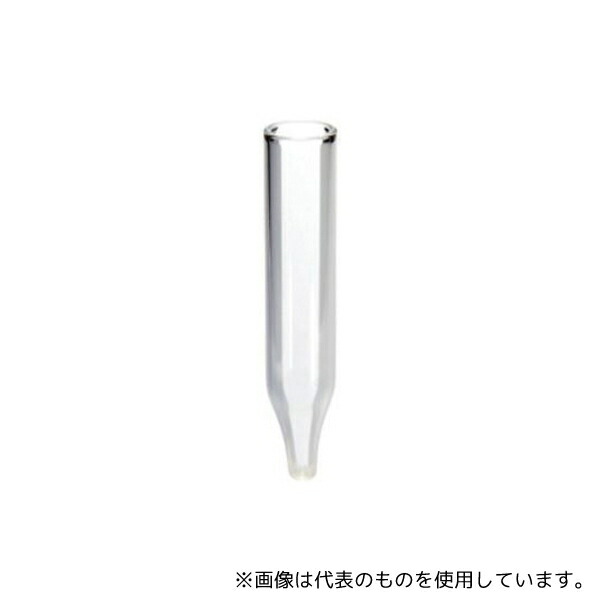 Thermo Fisher Scientific 6PME04C1 インサート 0.4mL ガラス 脚なし 6×31mm 100本入