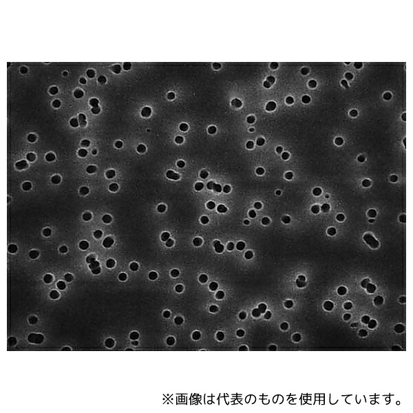 Merck HTBP02500 Isopore disc PC philic 0.4μm 25mm blk pln 100/Pk 100PK|ファーストFACTORY