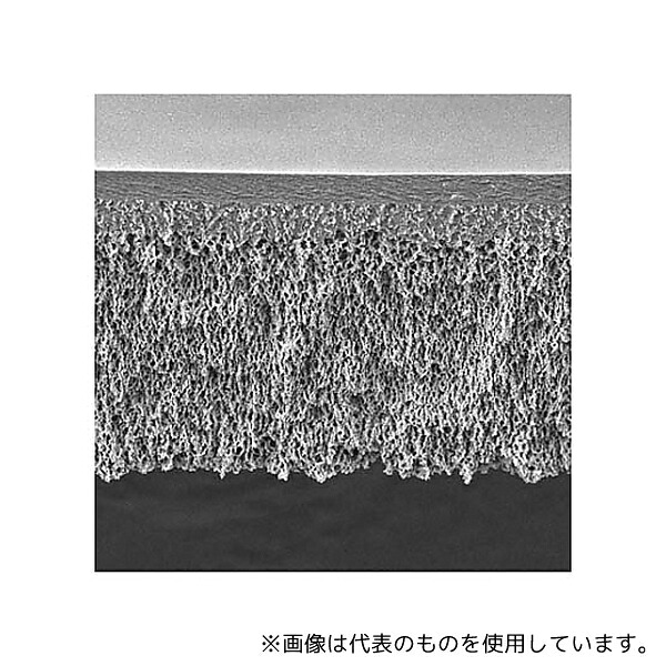 緑であること活動の領域