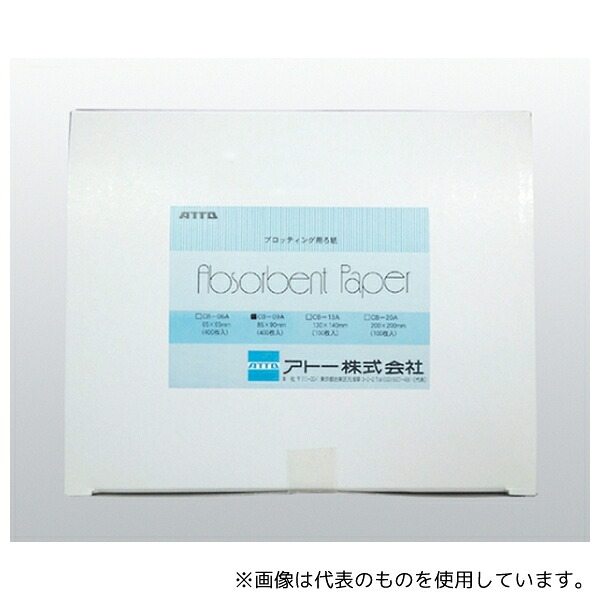アトー 2392493/CB-20A ブロッティング用ろ紙「アブソーベントペーパー」 1箱(100枚入)