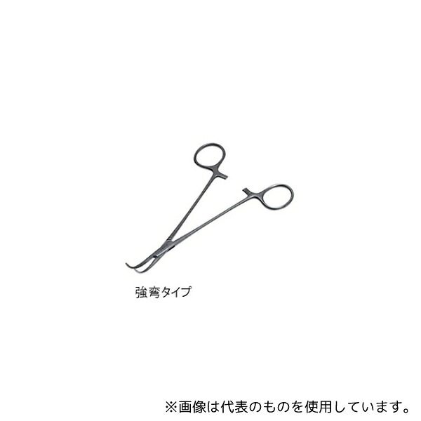 緑であること活動の領域