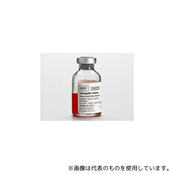 緑であること活動の領域