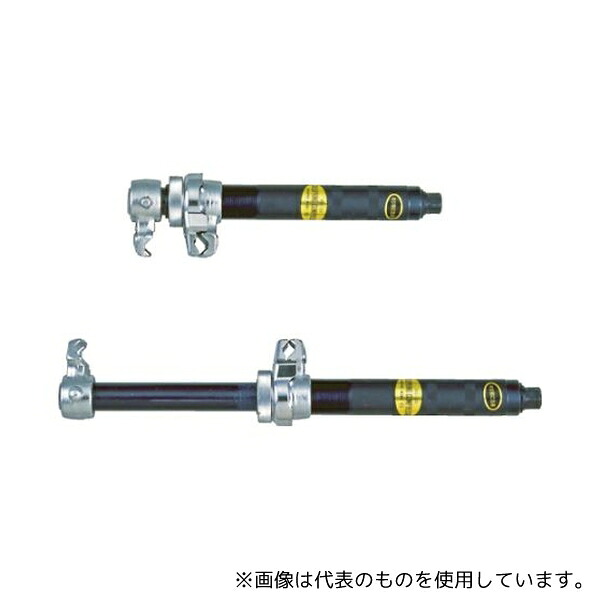 緑であること活動の領域
