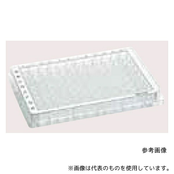 緑であること活動の領域