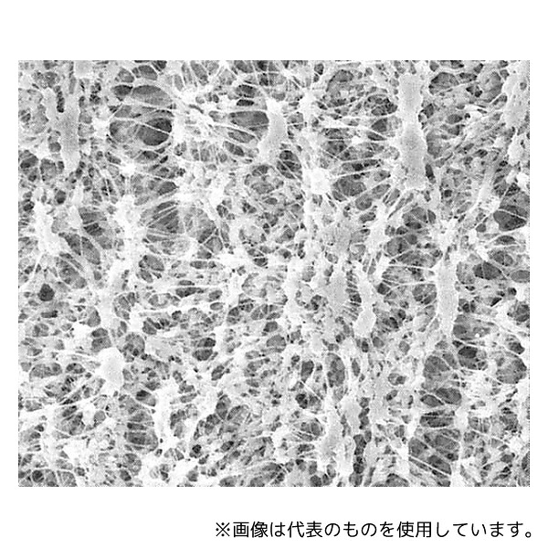 緑であること活動の領域