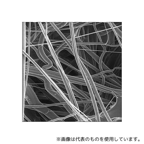 緑であること活動の領域