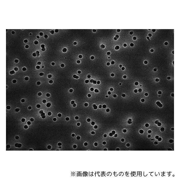 Merck GTBP04700 Isopore disc PC philic 0.22μm 47mm brn pln 100/Pk 100PK｜ファーストFACTORY