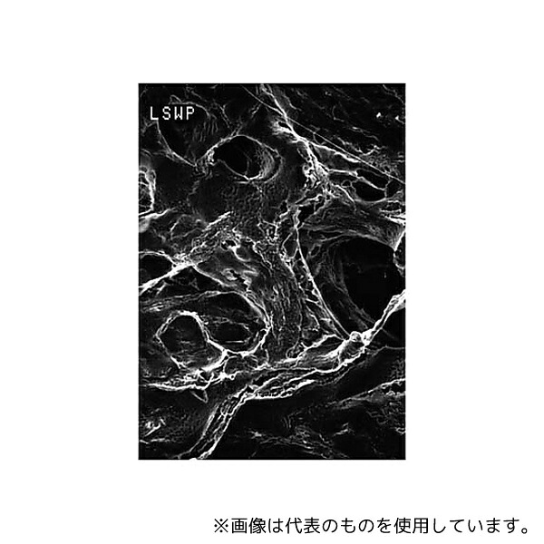緑であること活動の領域