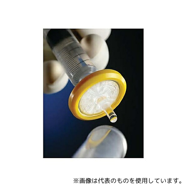 緑であること活動の領域