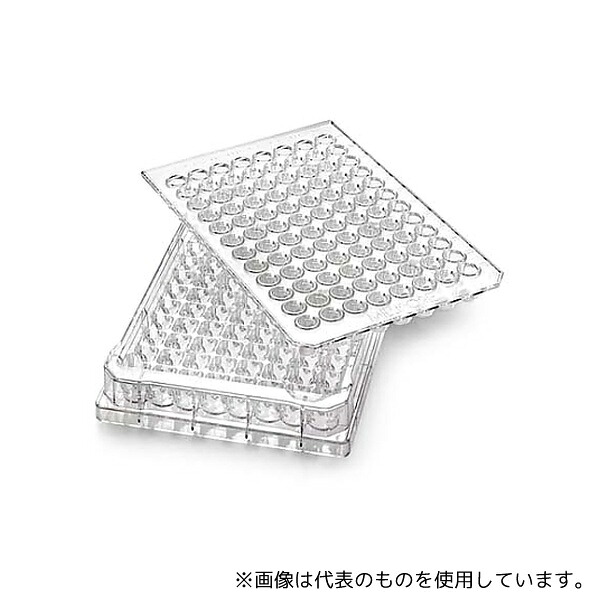緑であること活動の領域