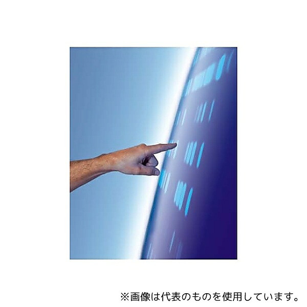 緑であること活動の領域