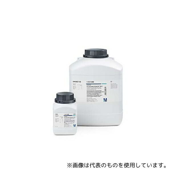緑であること活動の領域