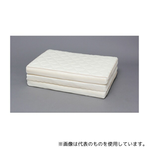 緑であること活動の領域