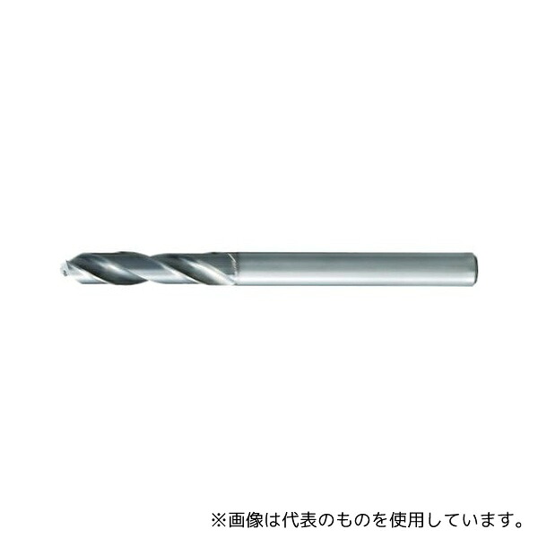 緑であること活動の領域 花・ガーデン・DIY-その他