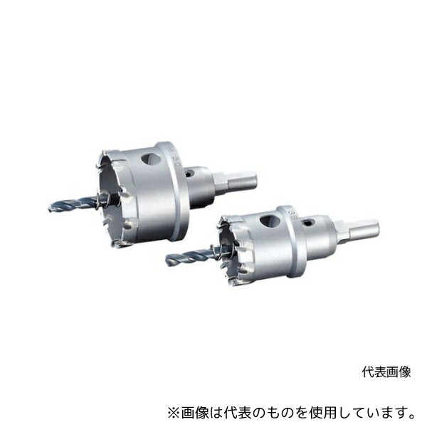緑であること活動の領域