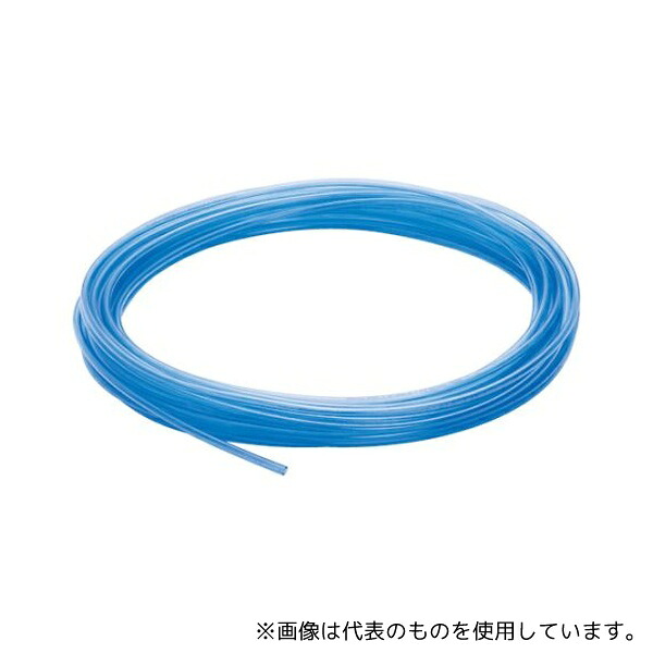 緑であること活動の領域