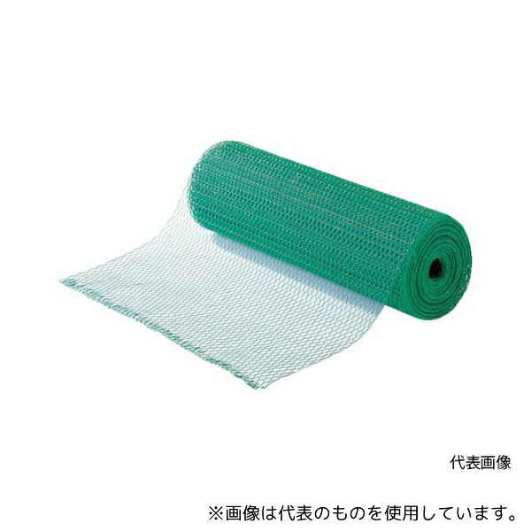 緑であること活動の領域