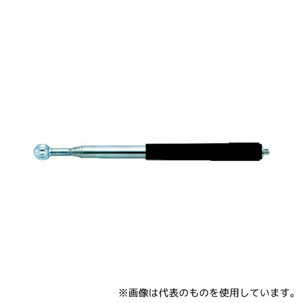緑であること活動の領域