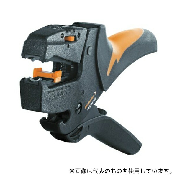 緑であること活動の領域