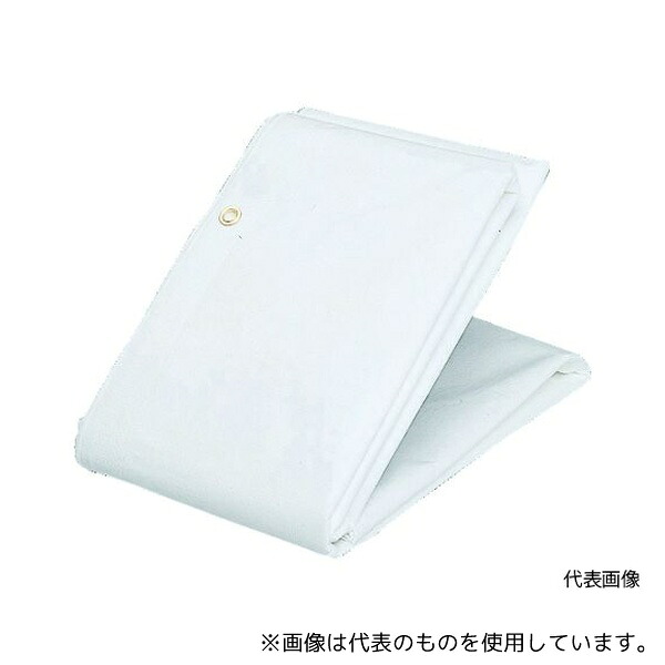 緑であること活動の領域