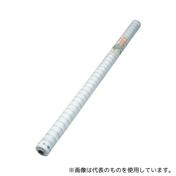 緑であること活動の領域
