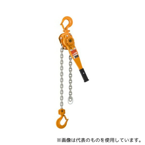 緑であること活動の領域