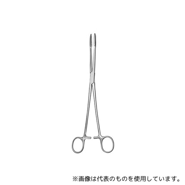 緑であること活動の領域