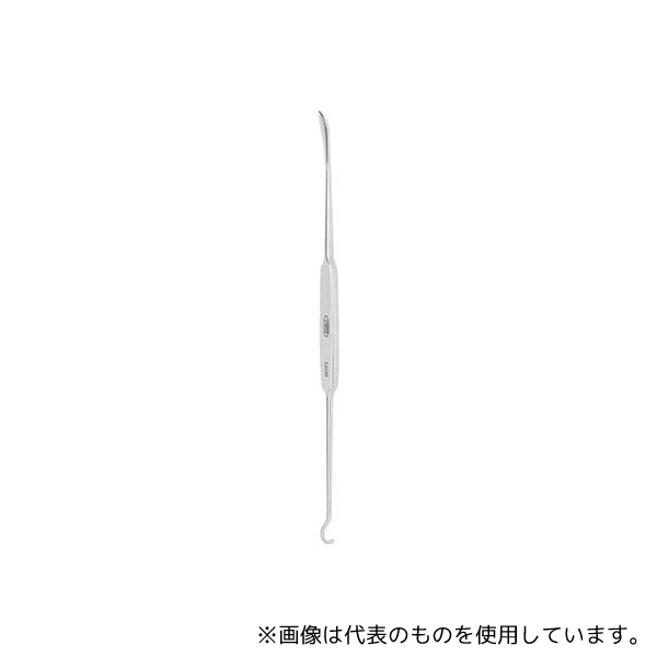 緑であること活動の領域