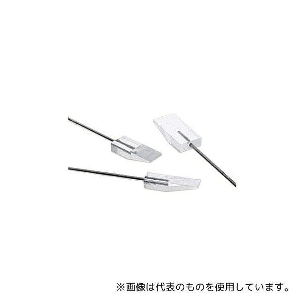 緑であること活動の領域